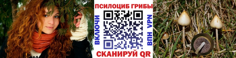 Галлюциногенные грибы мухоморы Углич